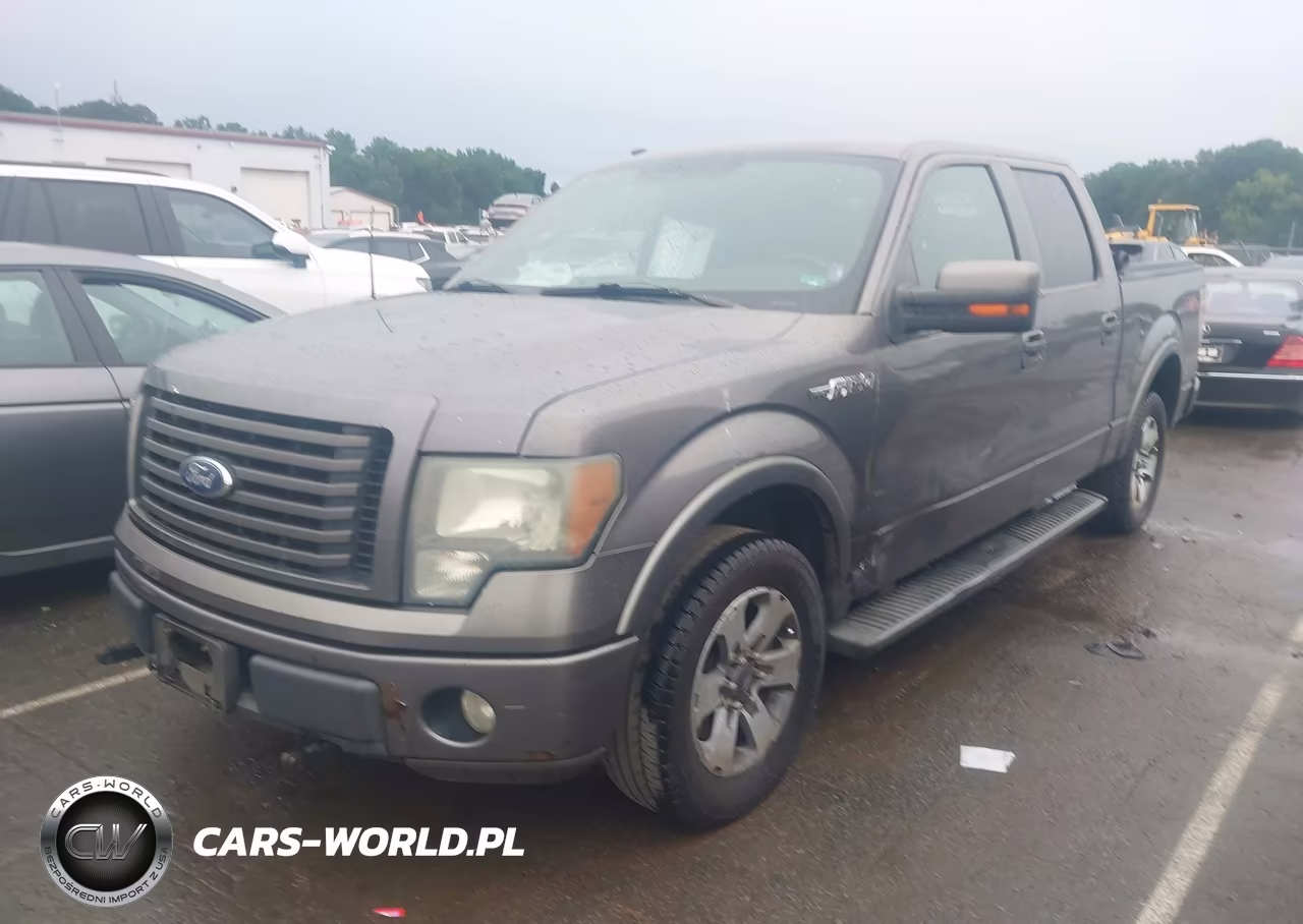 2010 Ford F-150 VIN:1FTEW1C86AKC54314 - 2