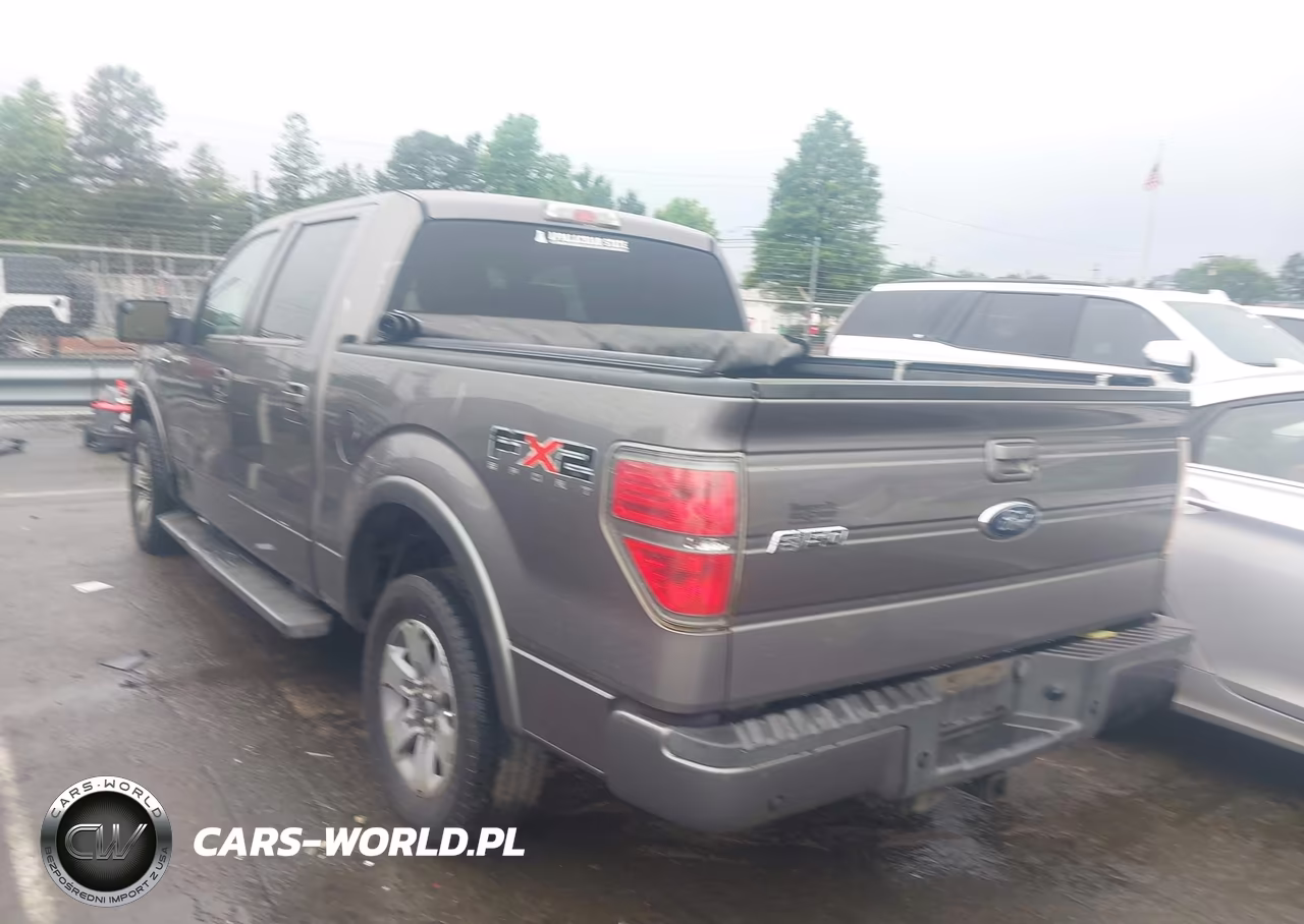 2010 Ford F-150 VIN:1FTEW1C86AKC54314 - 3