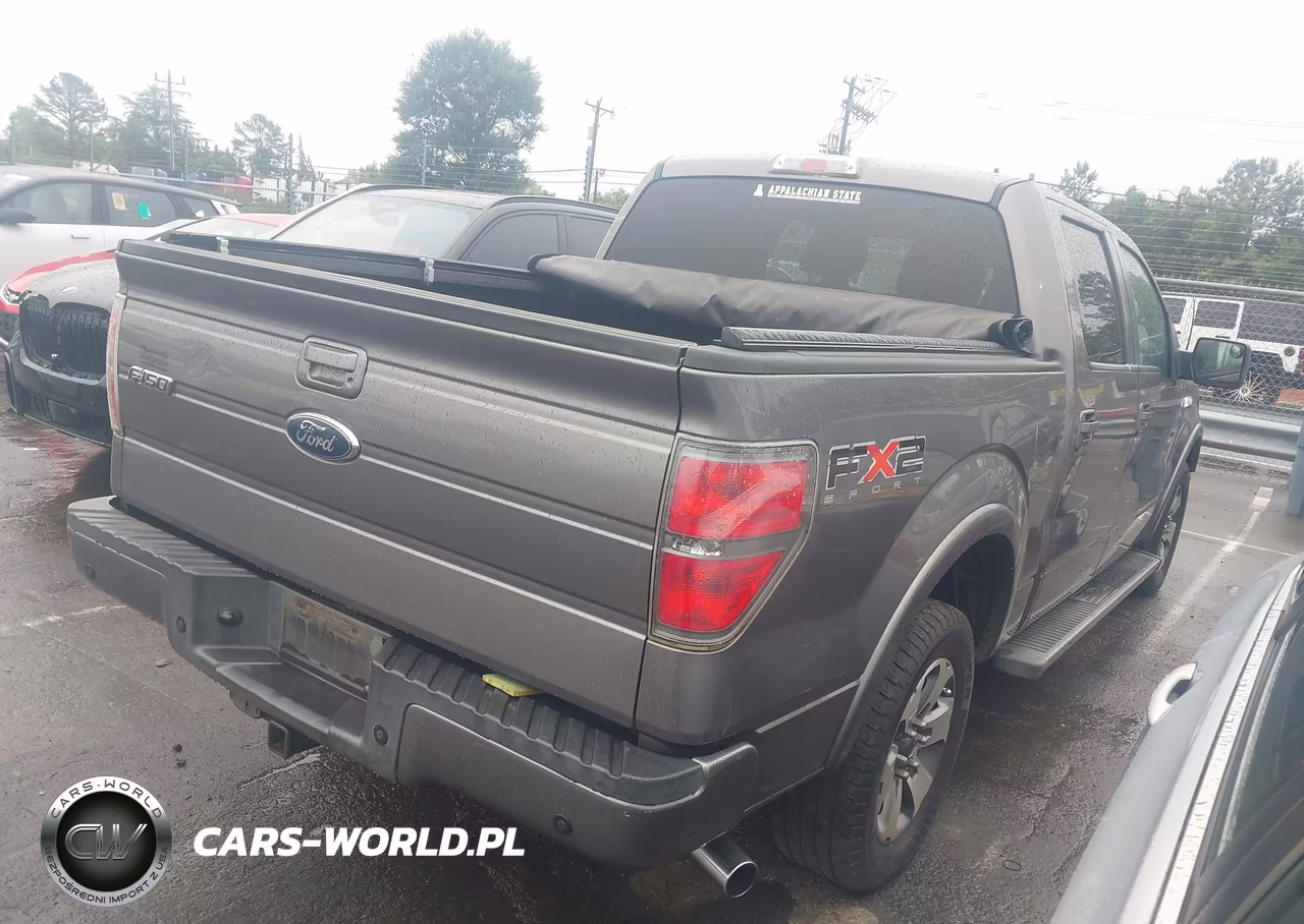 2010 Ford F-150 VIN:1FTEW1C86AKC54314 - 4