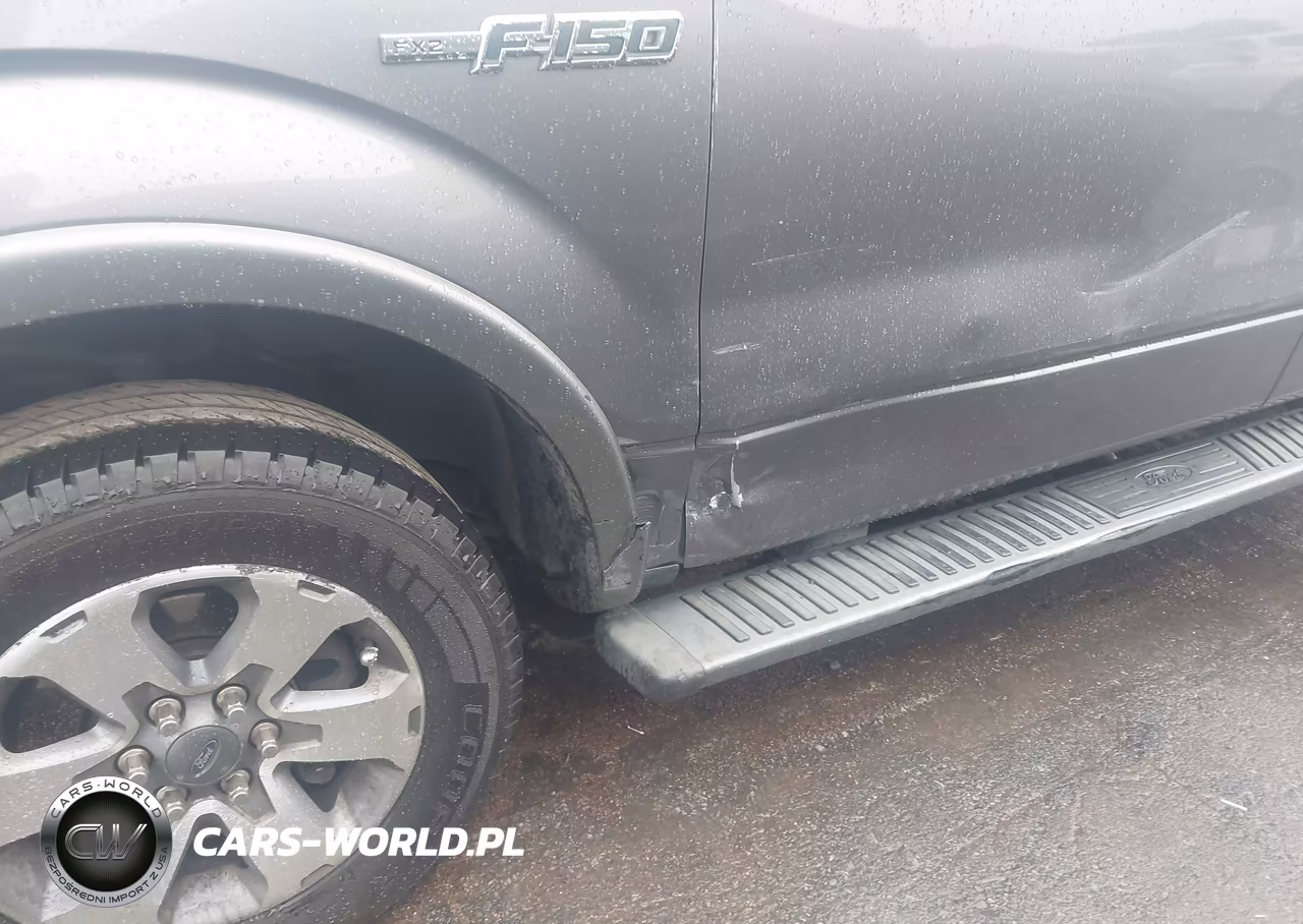 2010 Ford F-150 VIN:1FTEW1C86AKC54314 - 6