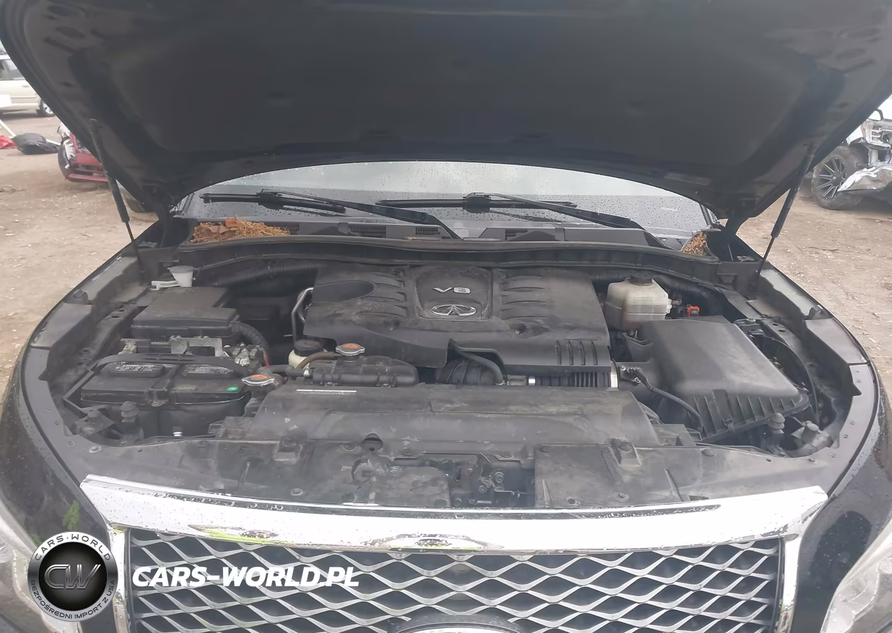 2016 Infiniti Qx80 VIN:JN8AZ2NE6G9124259 - 10