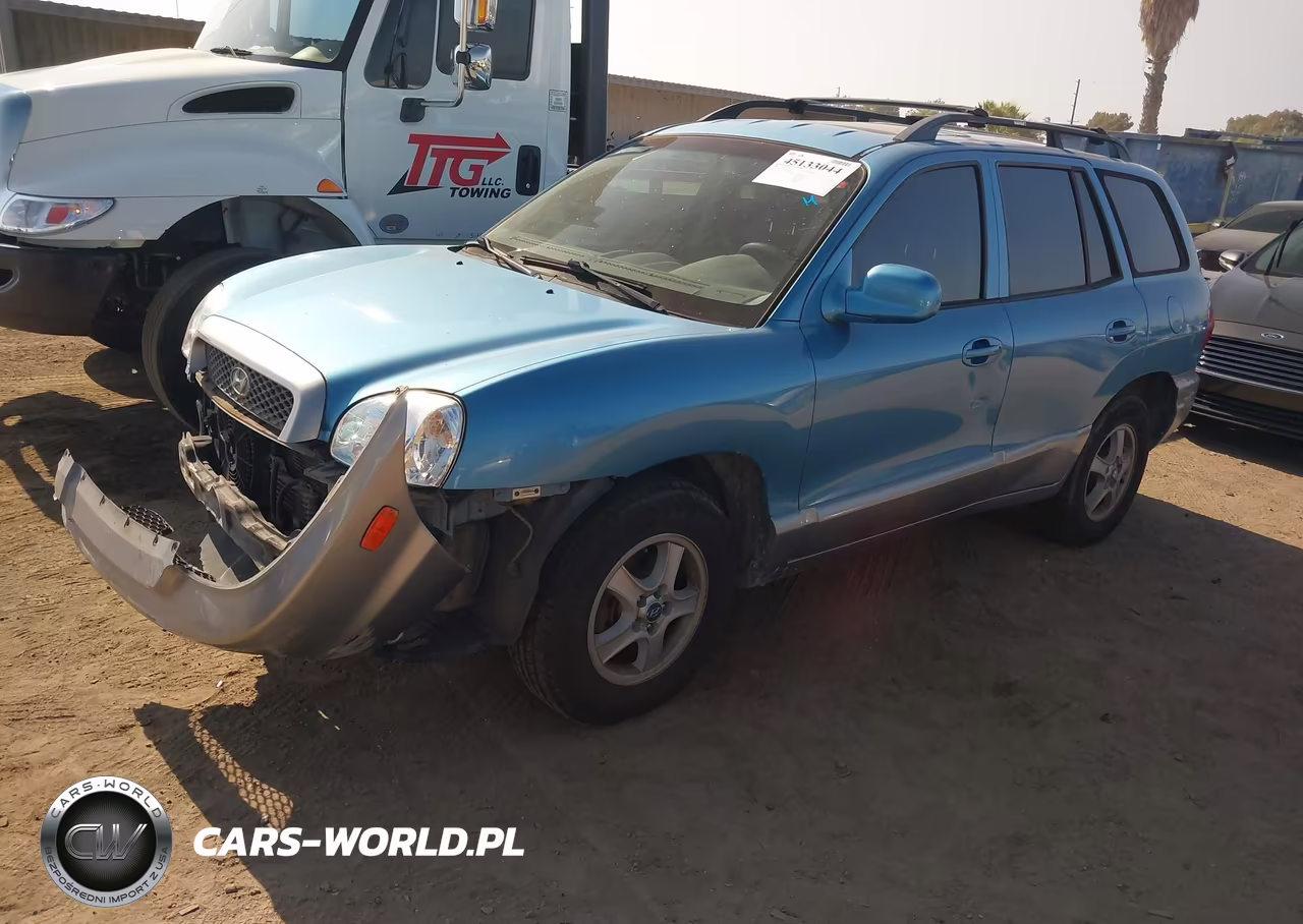 2004 Hyundai Santa Fe Gls VIN:KM8SC73D54U686358 - 2