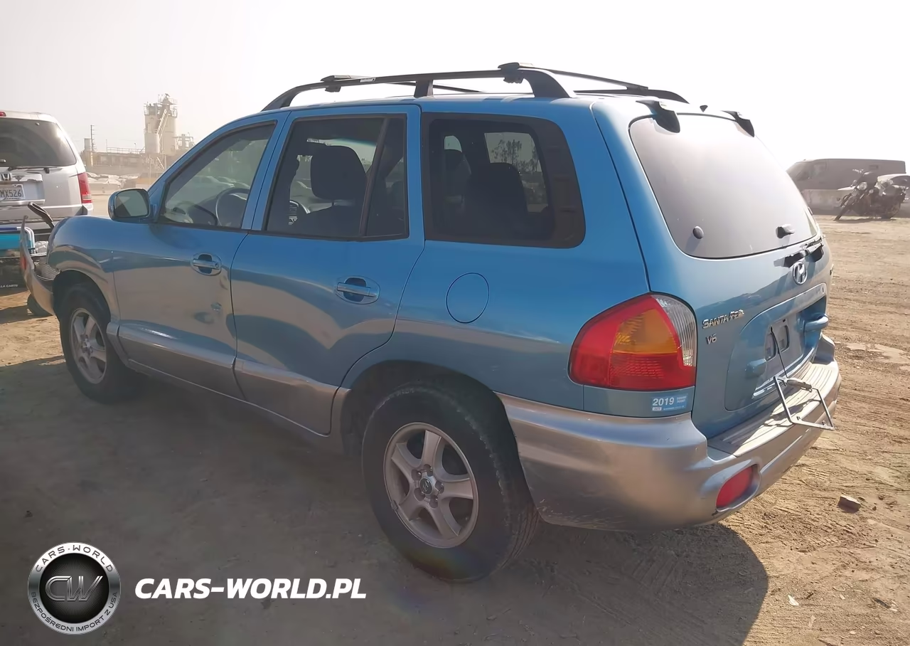 2004 Hyundai Santa Fe Gls VIN:KM8SC73D54U686358 - 3