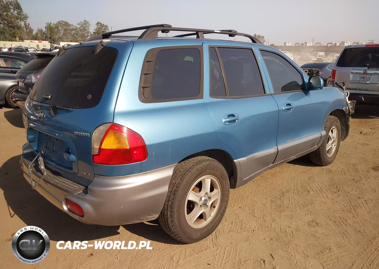 2004 Hyundai Santa Fe Gls VIN:KM8SC73D54U686358 - 4