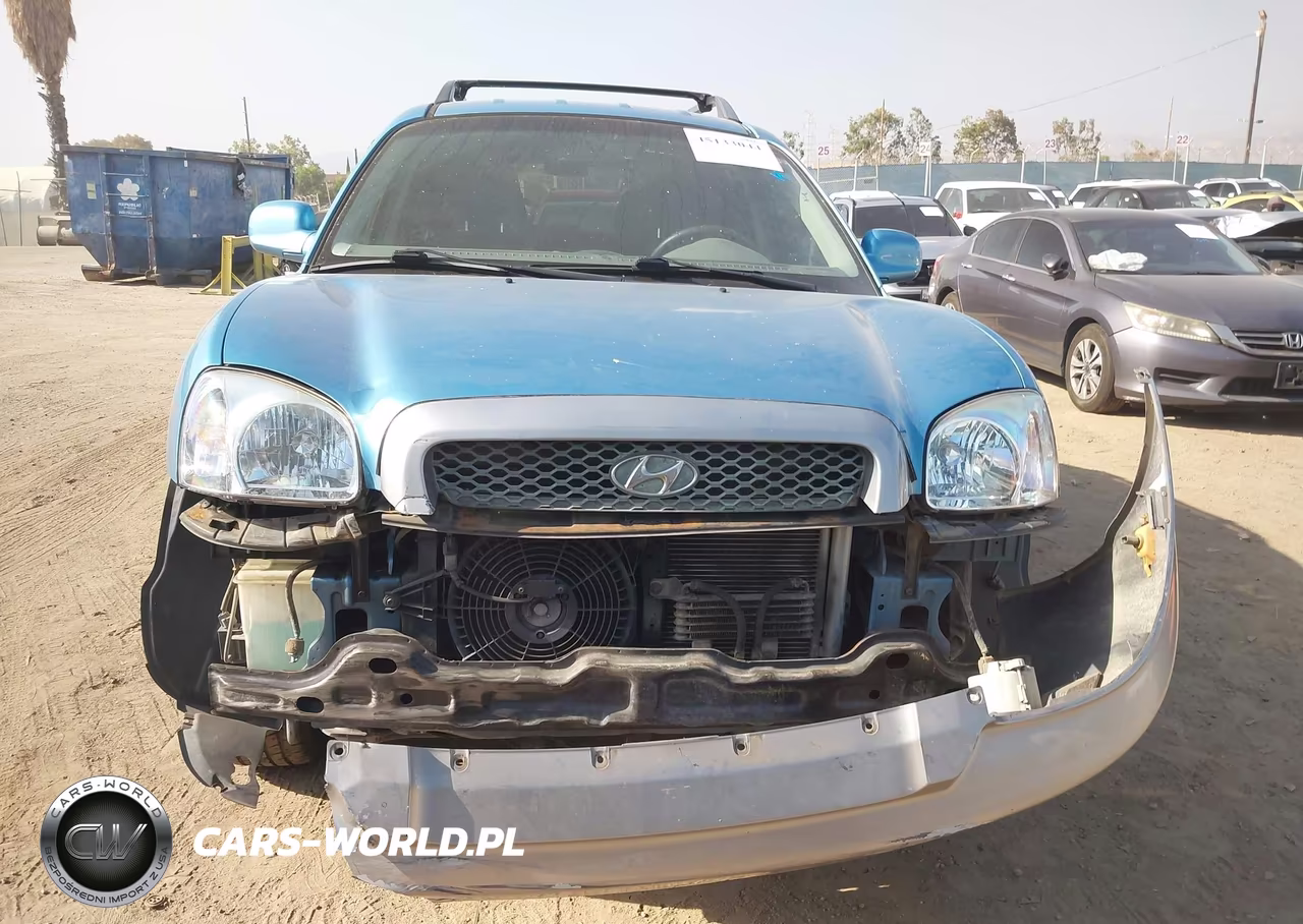 2004 Hyundai Santa Fe Gls VIN:KM8SC73D54U686358 - 6