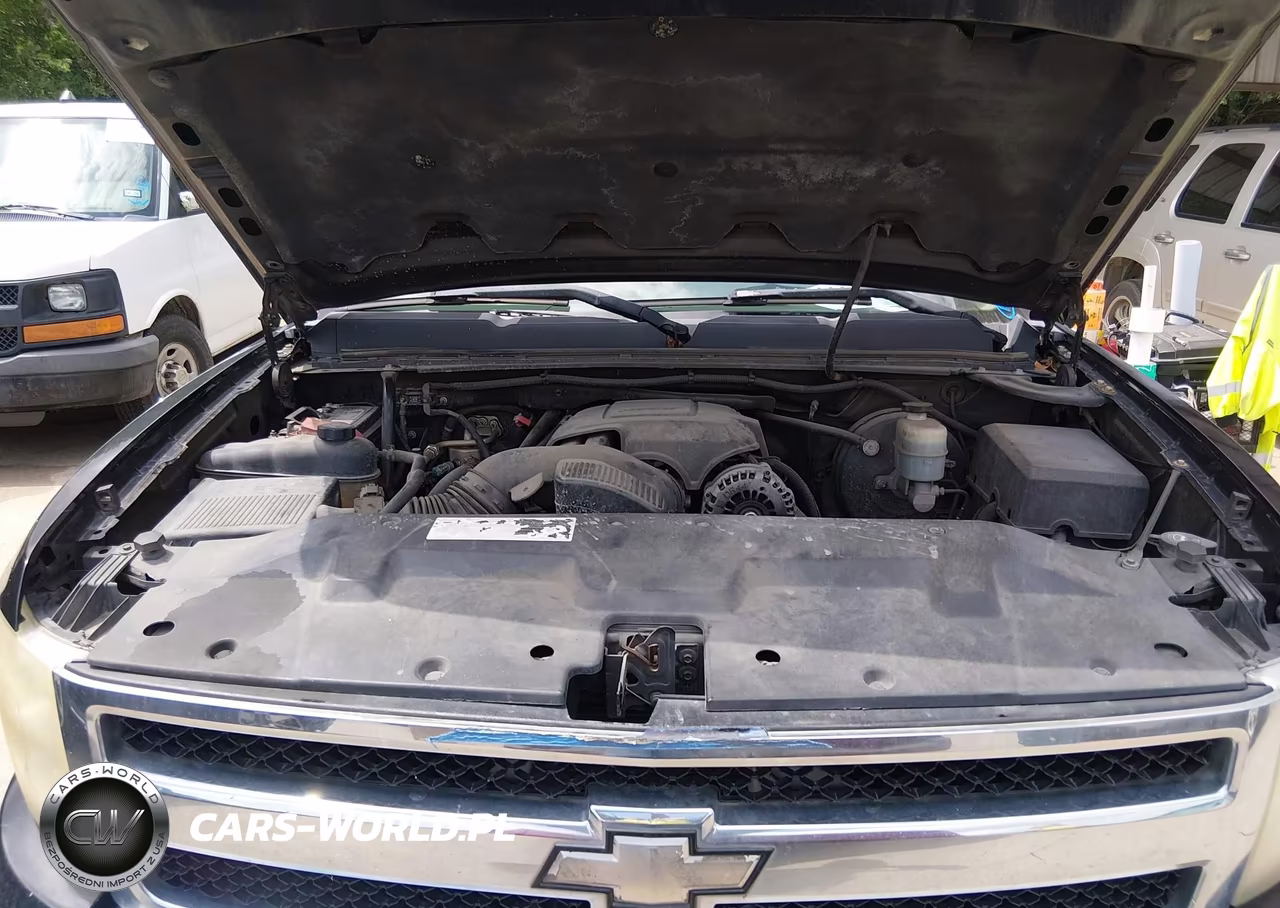 2009 Chevrolet Silverado 1500 Lt VIN:1GCEC29C89Z138268 - 10