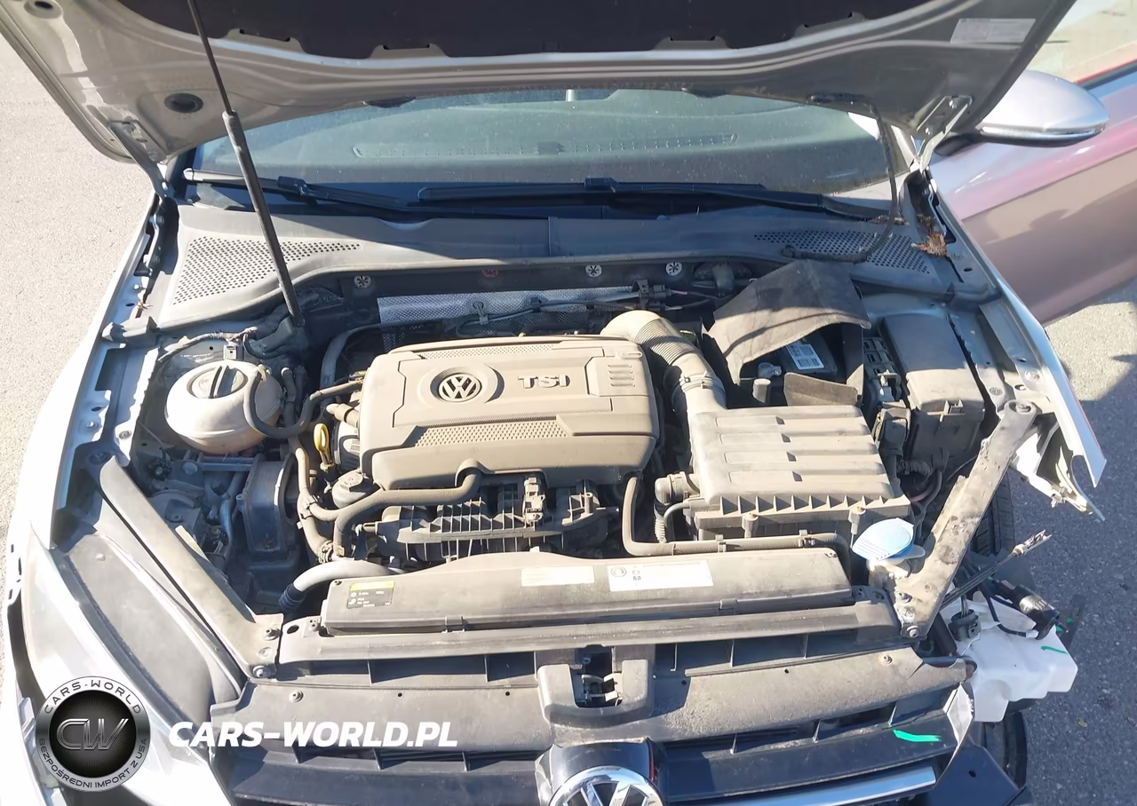 2015 Volkswagen Golf Tsi S 4-Door VIN:3VW217AU5FM020862 - 10