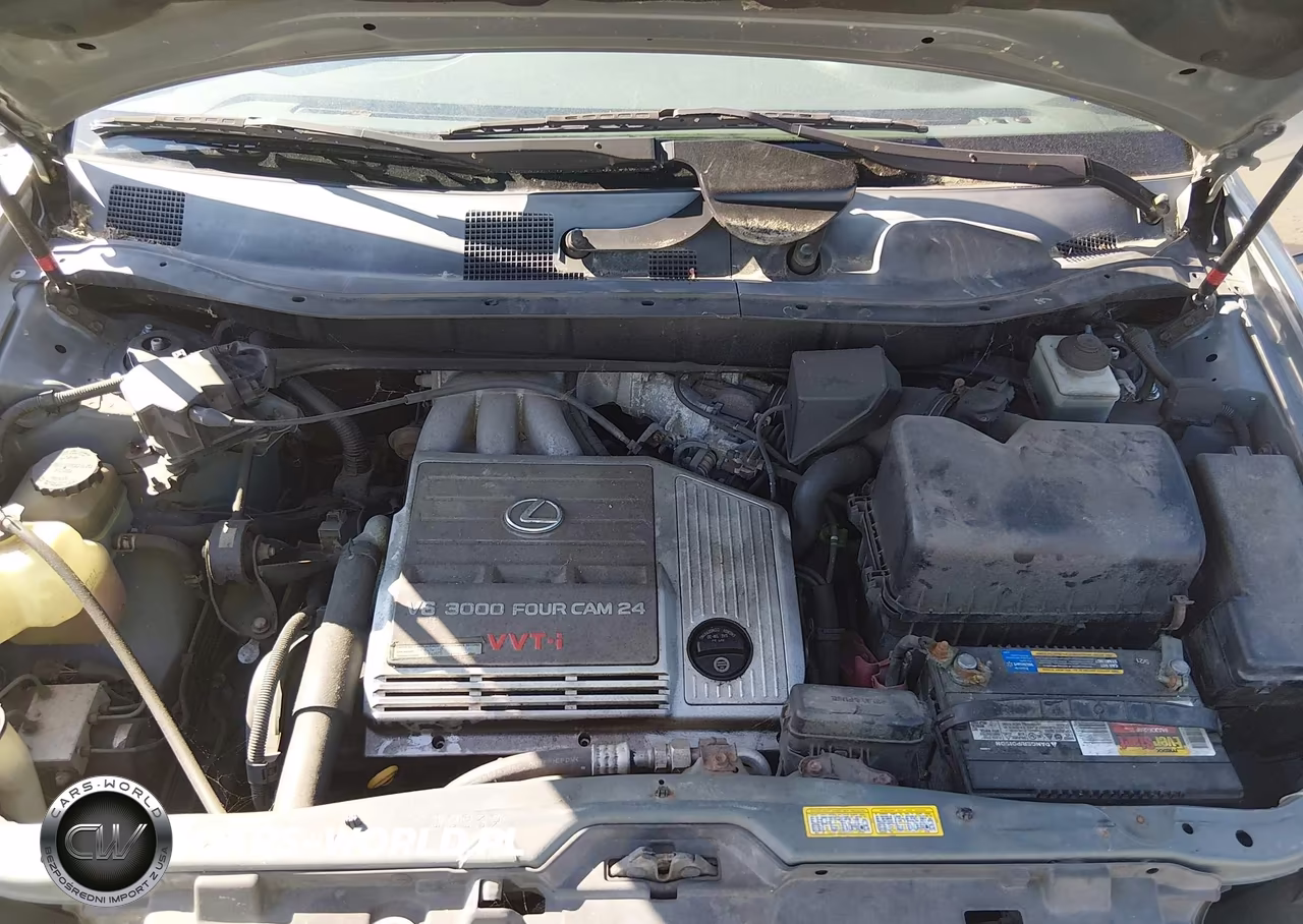 2000 Lexus Rx 300 VIN:JT6HF10U7Y0138471 - 10