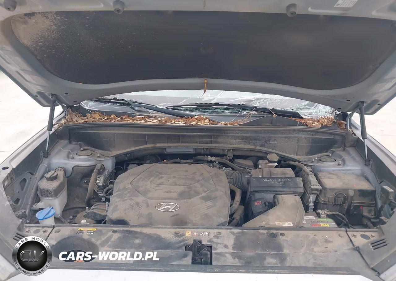 2020 Hyundai Palisade Se VIN:KM8R14HE4LU065101 - 10