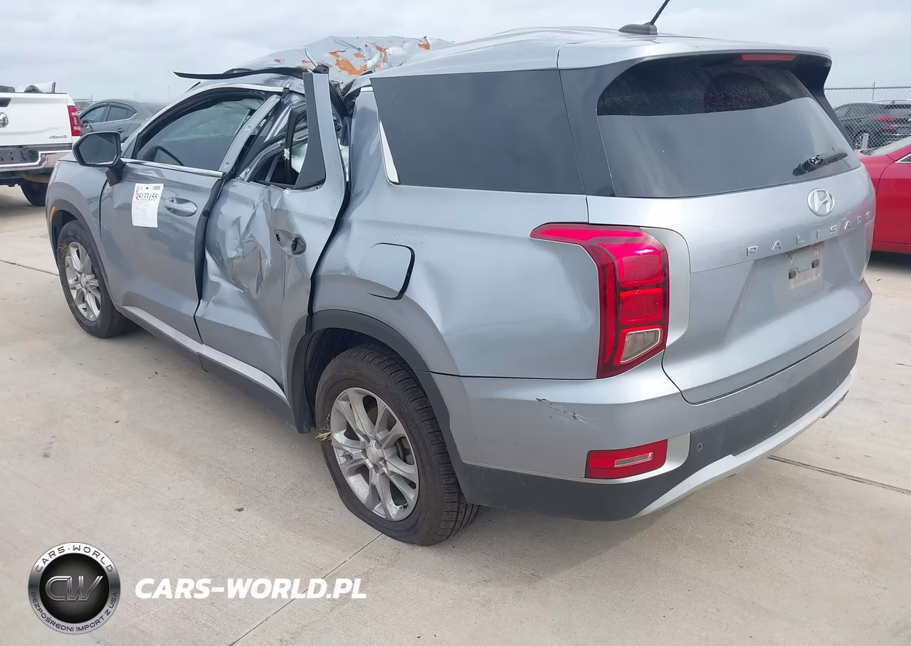 2020 Hyundai Palisade Se VIN:KM8R14HE4LU065101 - 3