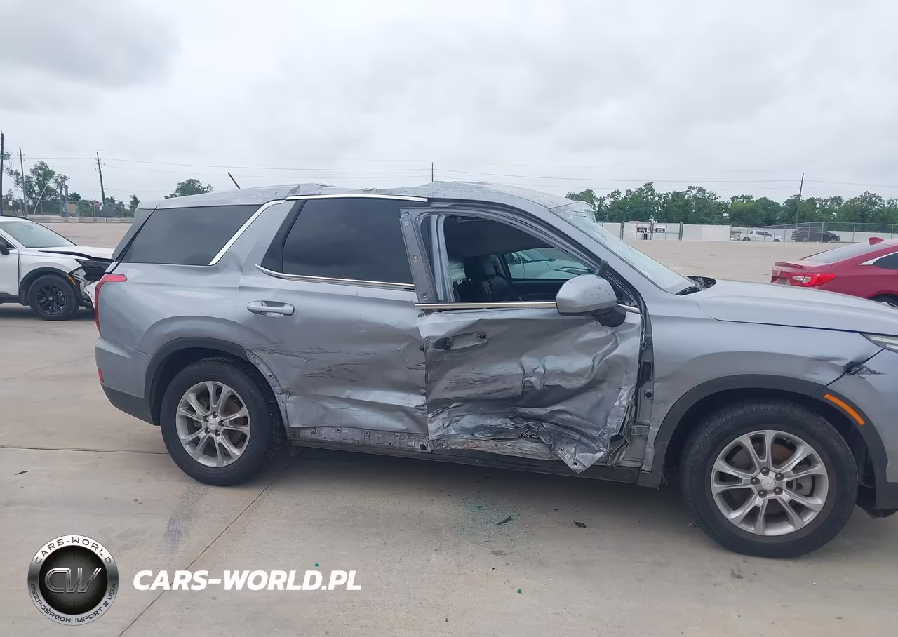 2020 Hyundai Palisade Se VIN:KM8R14HE4LU065101 - 6