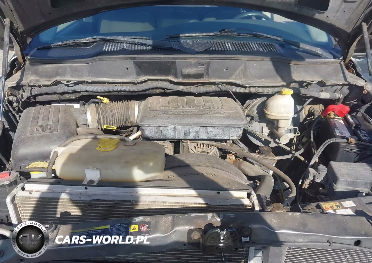 2004 Dodge Ram 1500 St VIN:1D7HA16K74J132998 - 10