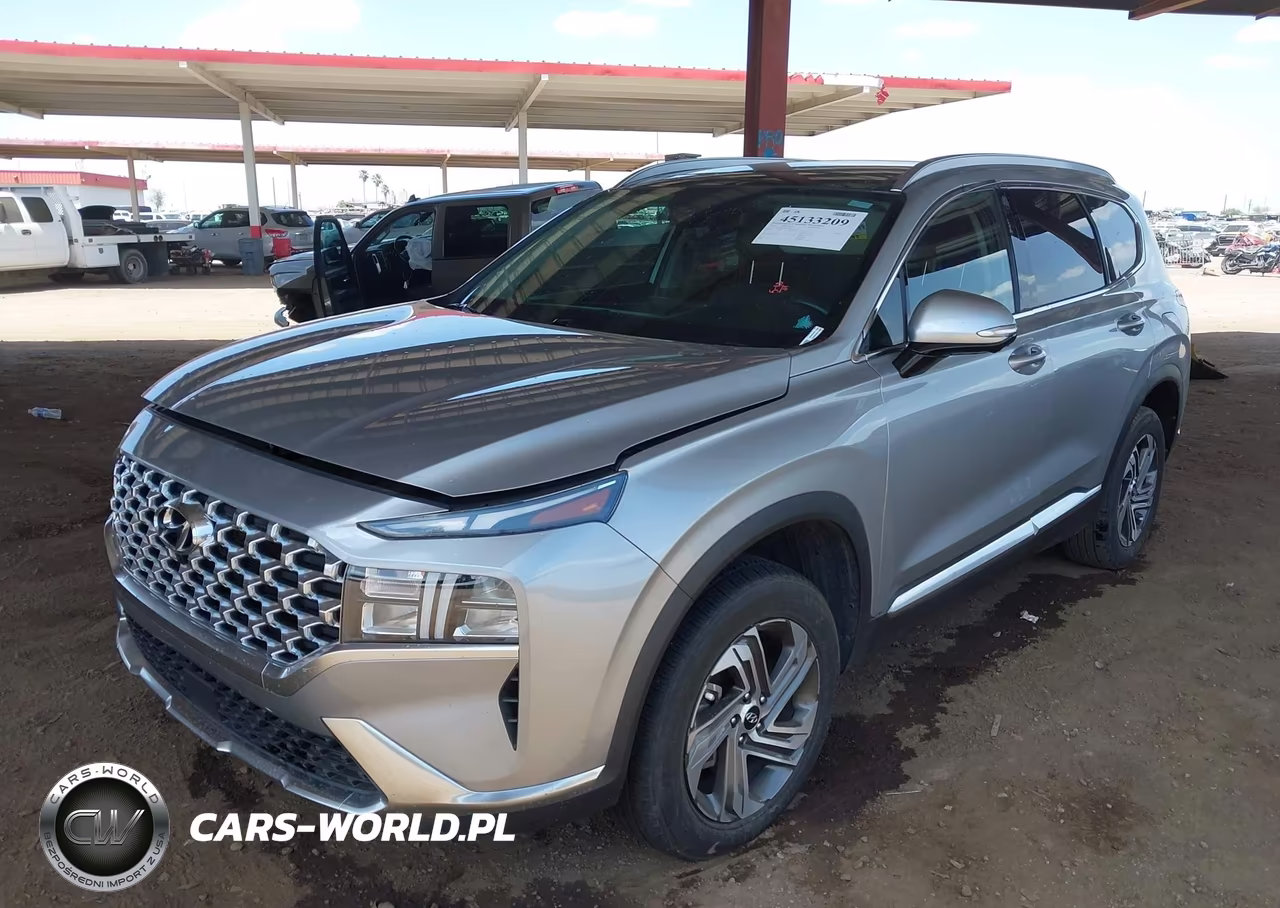 2023 Hyundai Santa Fe Sel VIN:5NMS3DAJ1PH561042 - 2