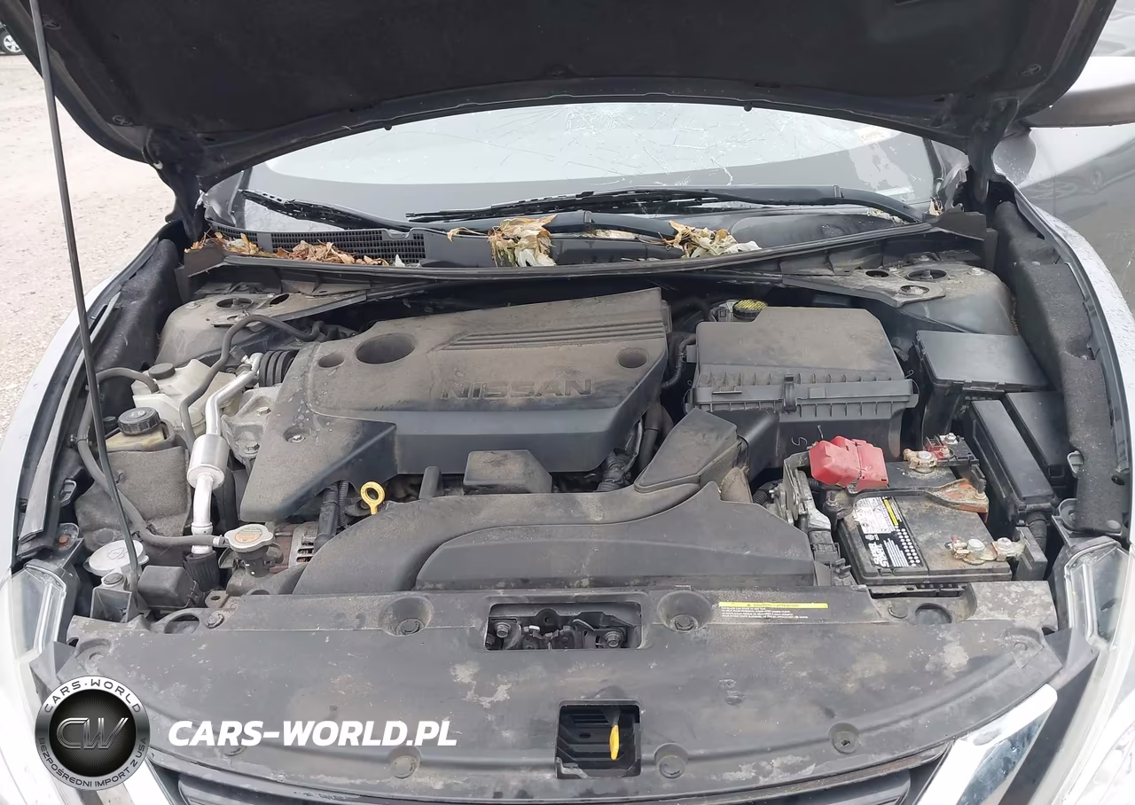 2017 Nissan Altima 2.5 Sv VIN:1N4AL3AP7HC247816 - 10