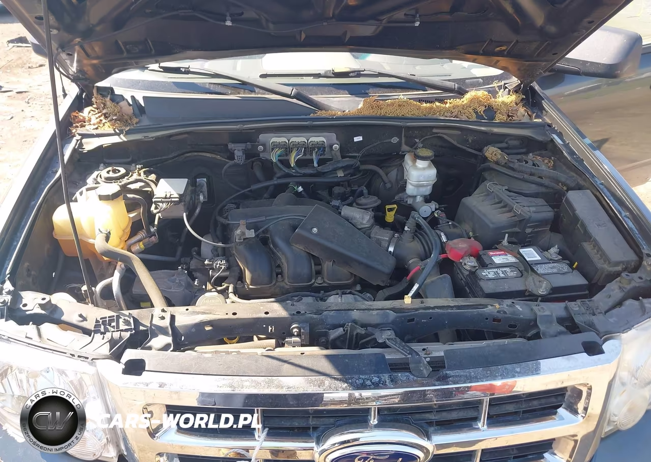 2008 Ford Escape Xlt VIN:1FMCU03188KD76186 - 10