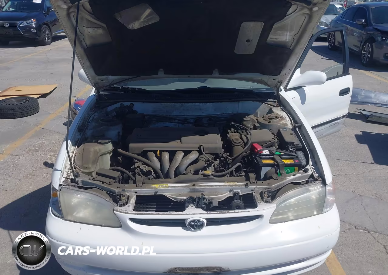 2000 Toyota Corolla Le VIN:1NXBR12E0YZ360253 - 10