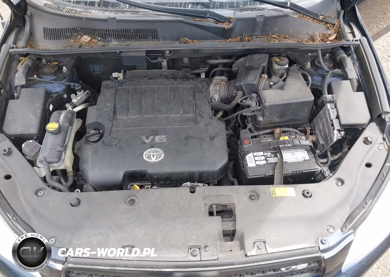 2006 Toyota Rav4 Base V6 VIN:JTMBK33V666001946 - 10