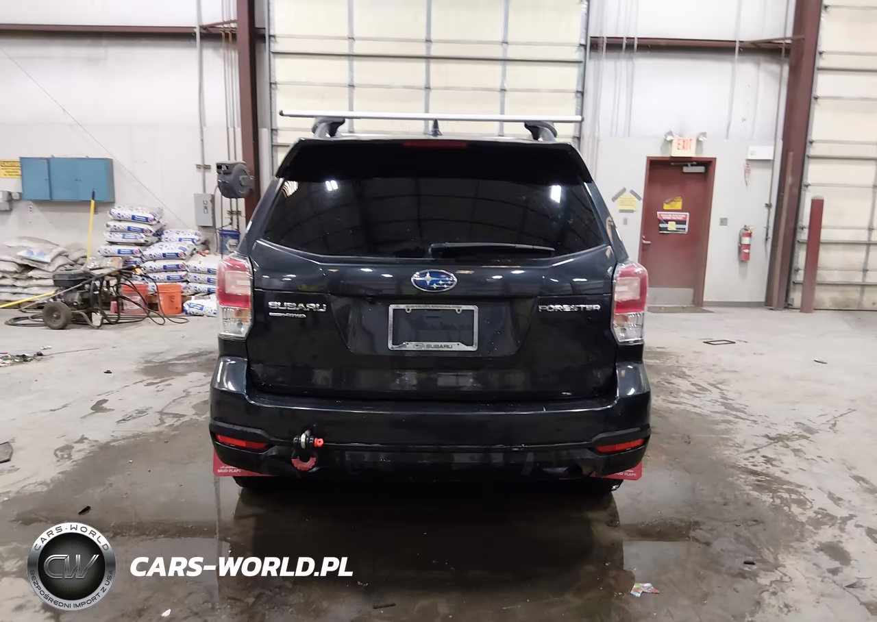 2018 Subaru Forester 2.5I Premium VIN:JF2SJAGC9JH448608 - 16