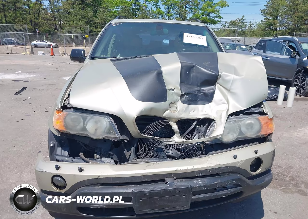 2001 BMW X5 3.0 VIN:WBAFA53521LM65467 - 12