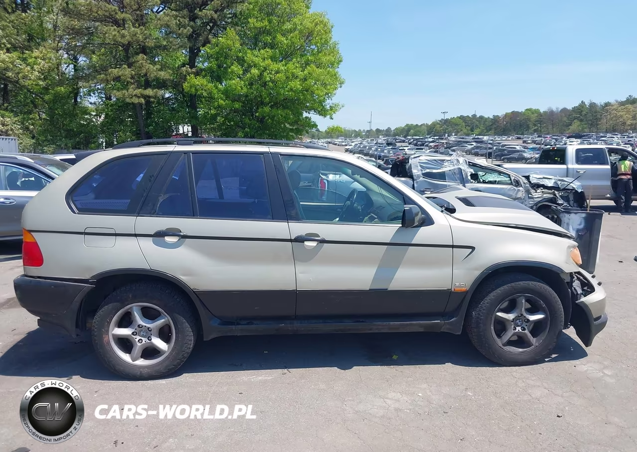 2001 BMW X5 3.0 VIN:WBAFA53521LM65467 - 13