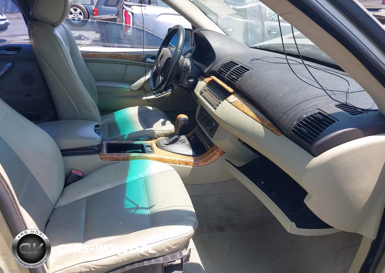 2001 BMW X5 3.0 VIN:WBAFA53521LM65467 - 5