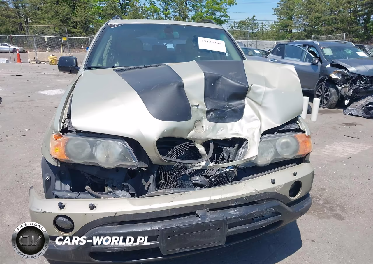 2001 BMW X5 3.0 VIN:WBAFA53521LM65467 - 6
