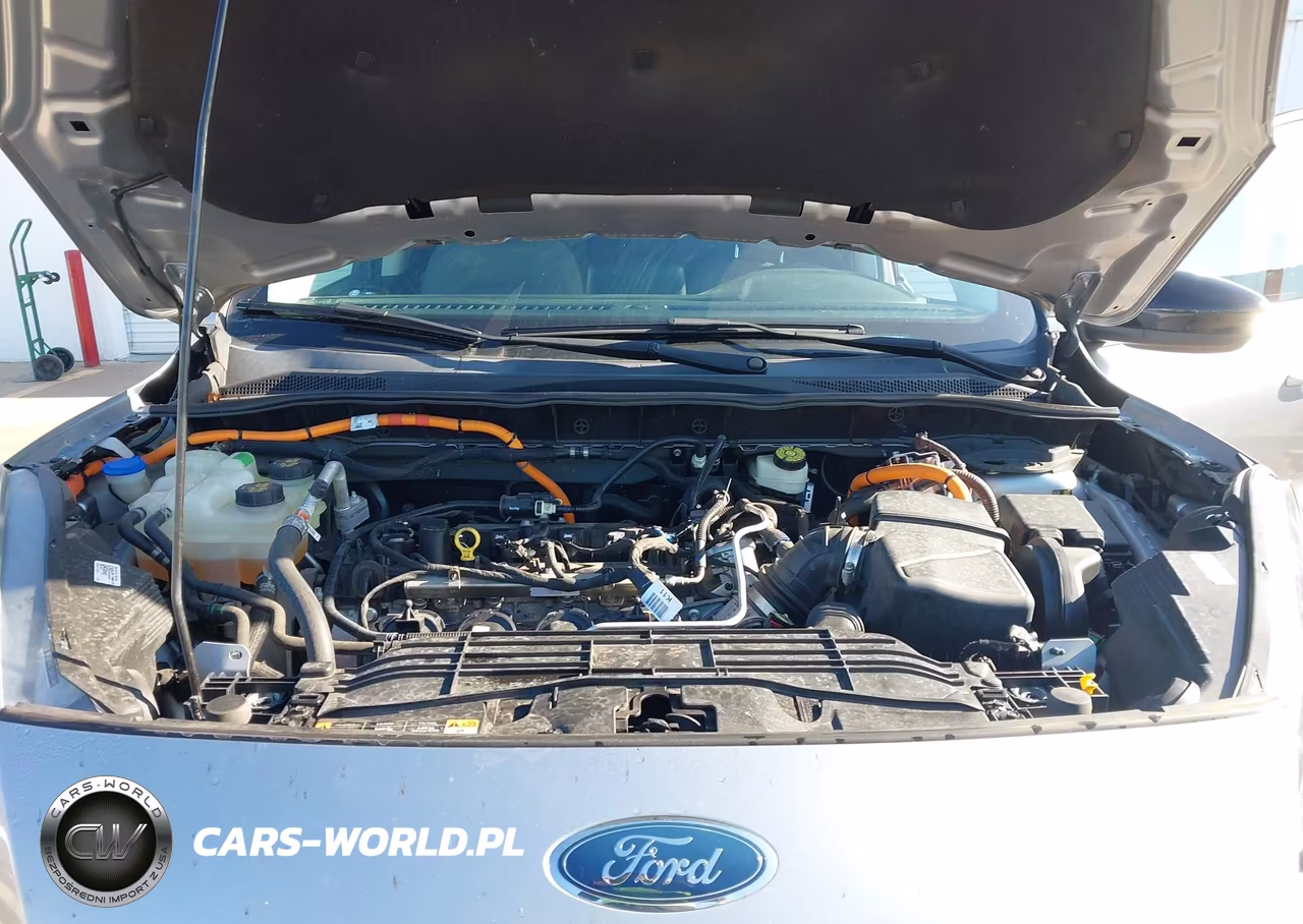 2021 Ford Escape Se Hybrid VIN:1FMCU0BZ0MUA09756 - 10