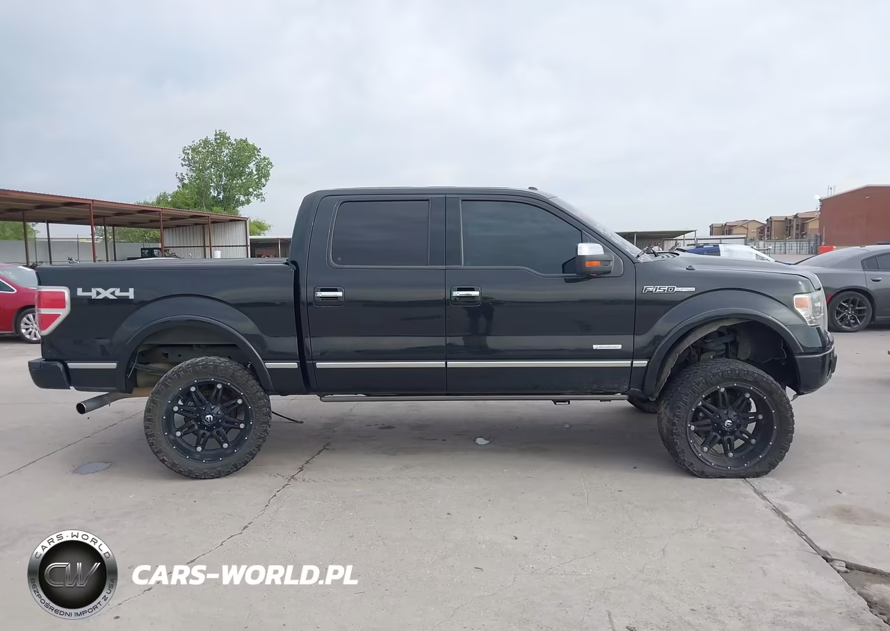 2014 Ford F-150 Platinum VIN:1FTFW1ET2EFB47264 - 14