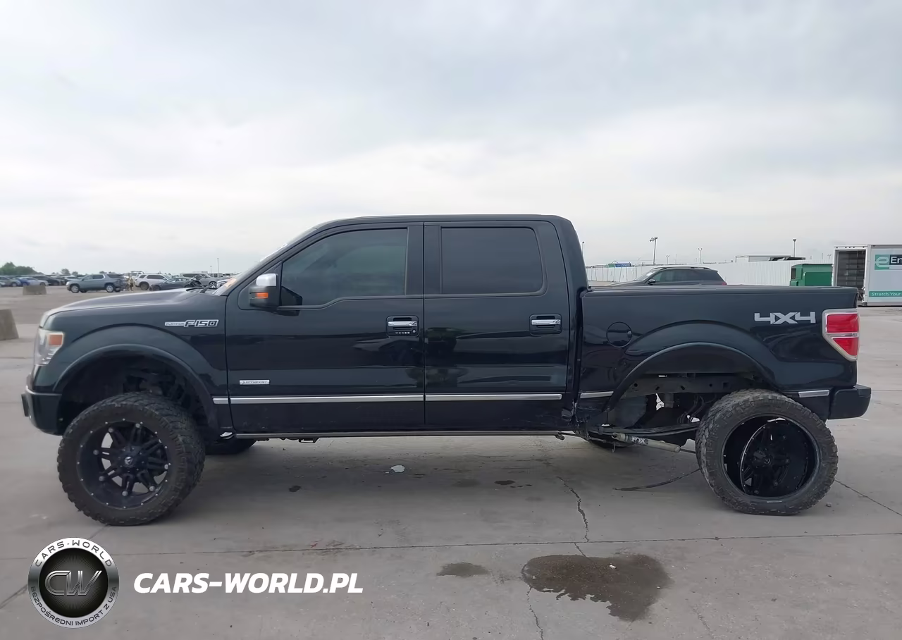 2014 Ford F-150 Platinum VIN:1FTFW1ET2EFB47264 - 15