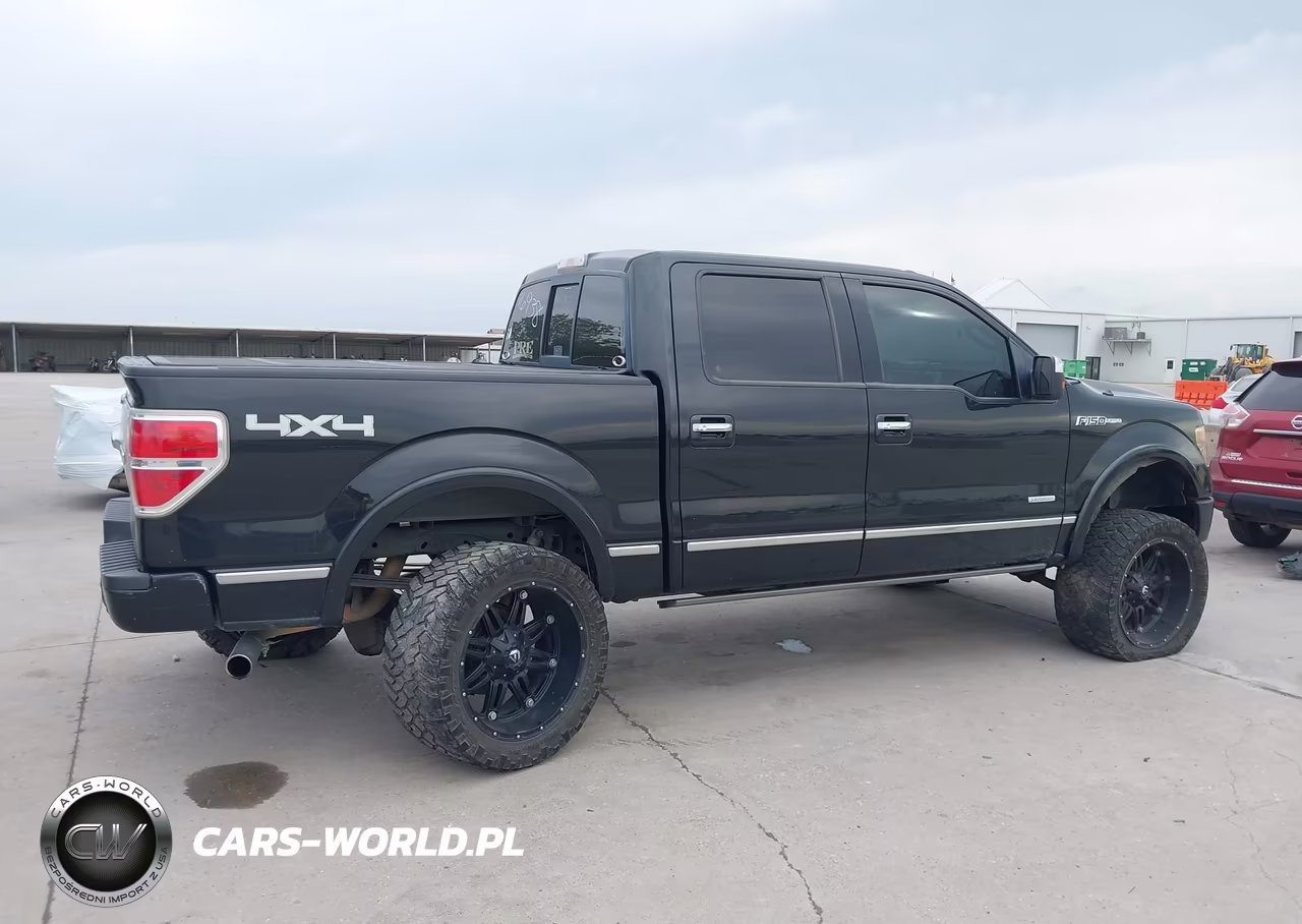 2014 Ford F-150 Platinum VIN:1FTFW1ET2EFB47264 - 19