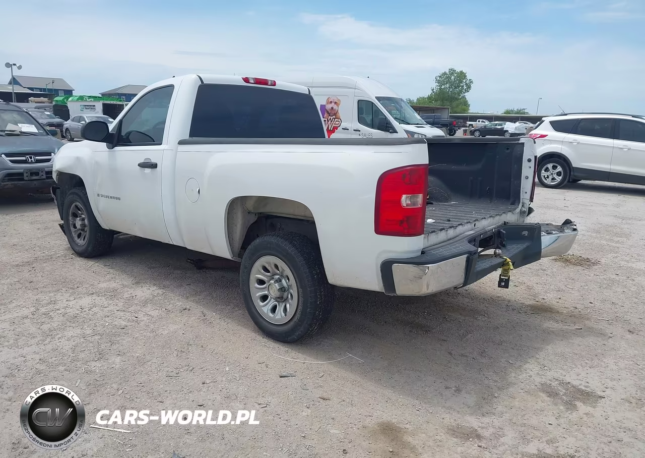 2009 Chevrolet Silverado 1500 Work Truck VIN:1GCEC14XX9Z222676 - 3