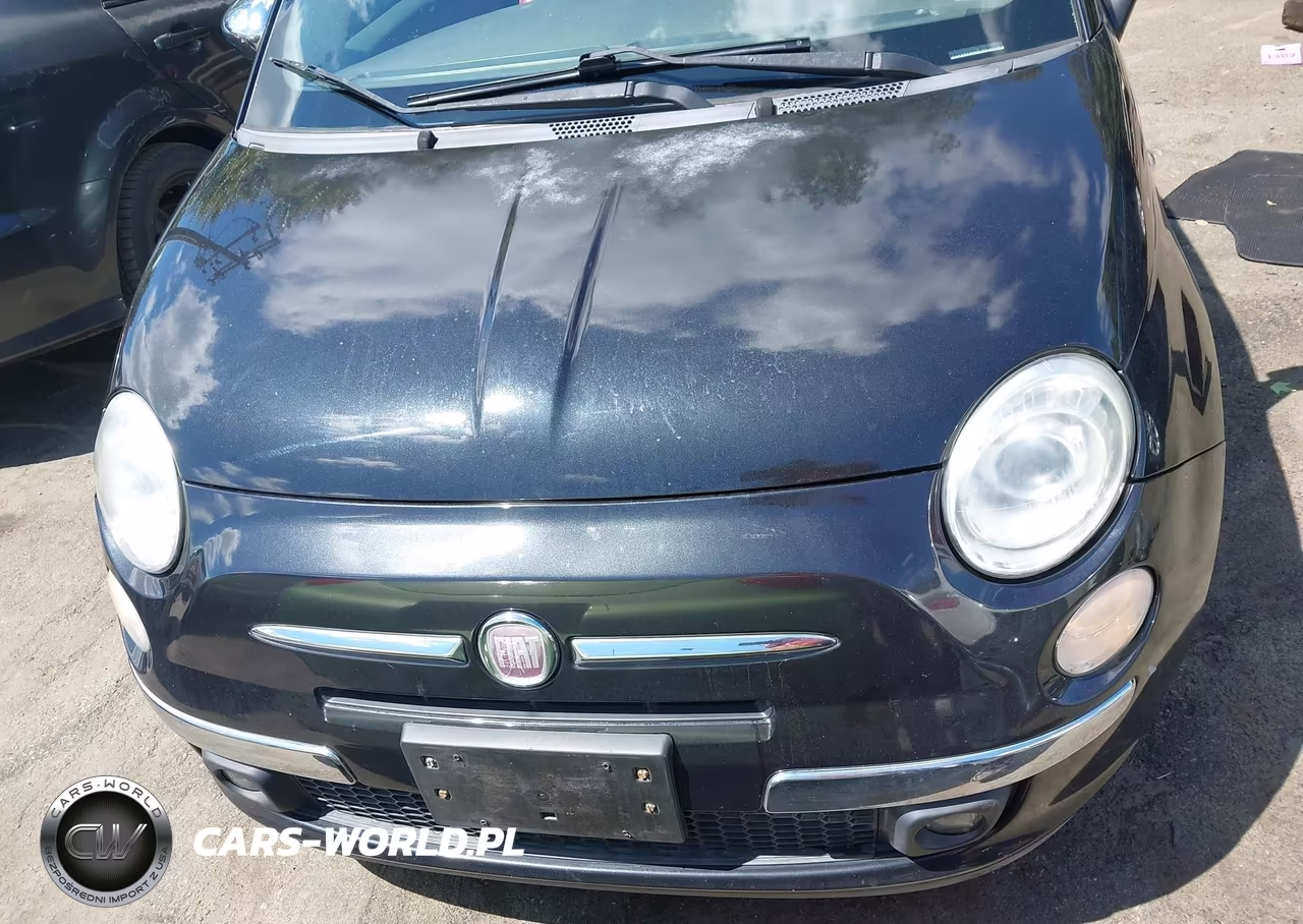 2013 Fiat 500 Lounge VIN:3C3CFFCR5DT573885 - 6