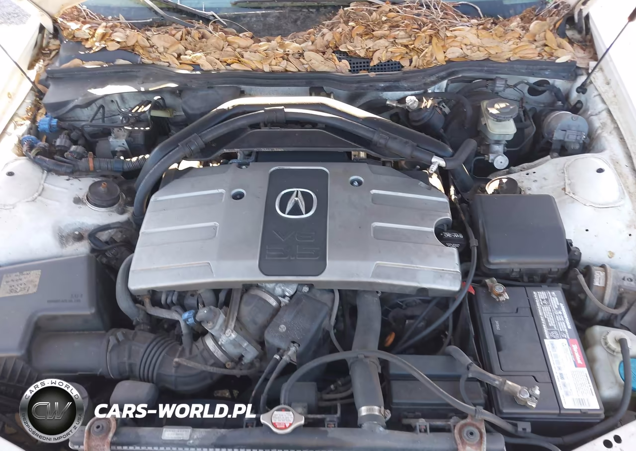 2004 Acura Rl 3.5 VIN:JH4KA96624C000137 - 10