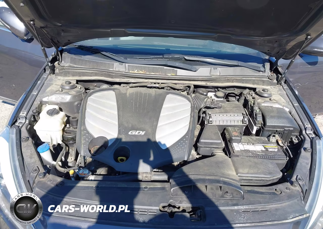2015 Kia Cadenza Premium VIN:KNALN4D79F5176275 - 10