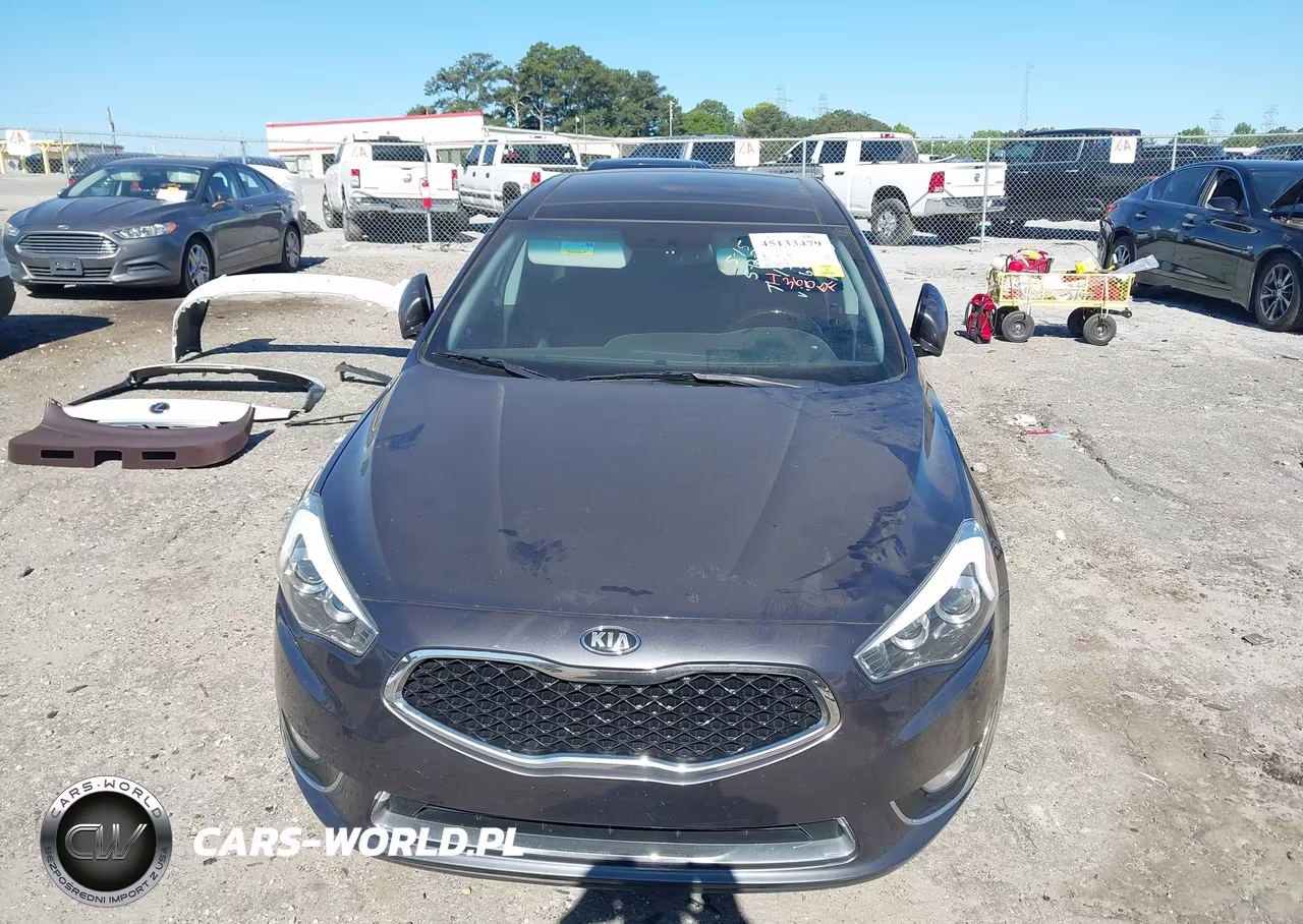 2015 Kia Cadenza Premium VIN:KNALN4D79F5176275 - 12