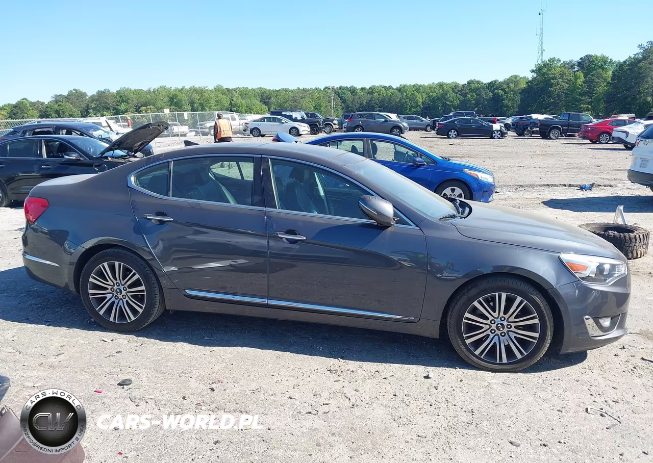 2015 Kia Cadenza Premium VIN:KNALN4D79F5176275 - 13