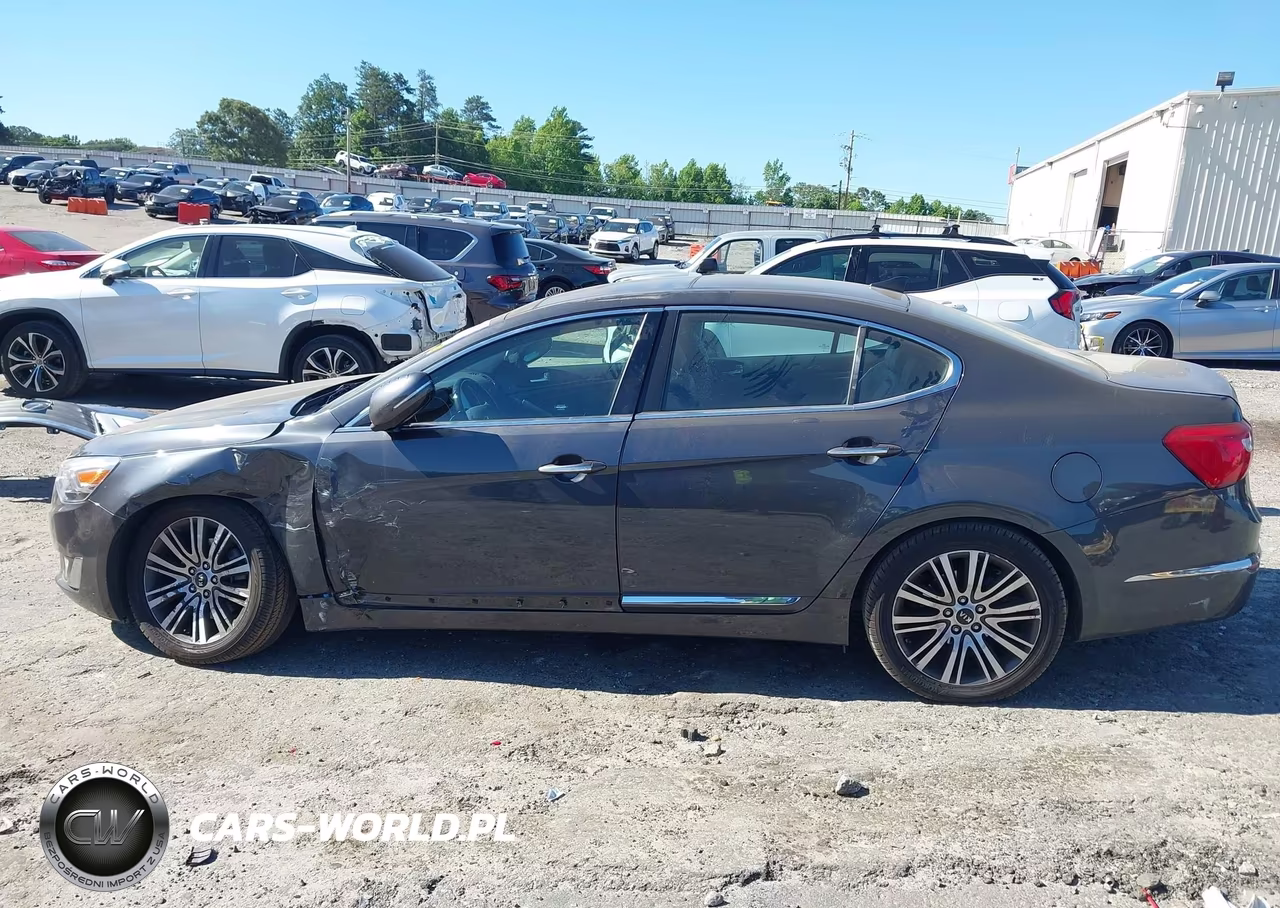 2015 Kia Cadenza Premium VIN:KNALN4D79F5176275 - 14