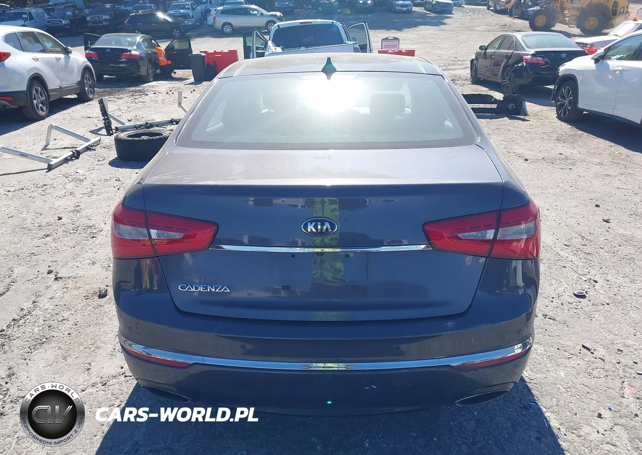 2015 Kia Cadenza Premium VIN:KNALN4D79F5176275 - 16