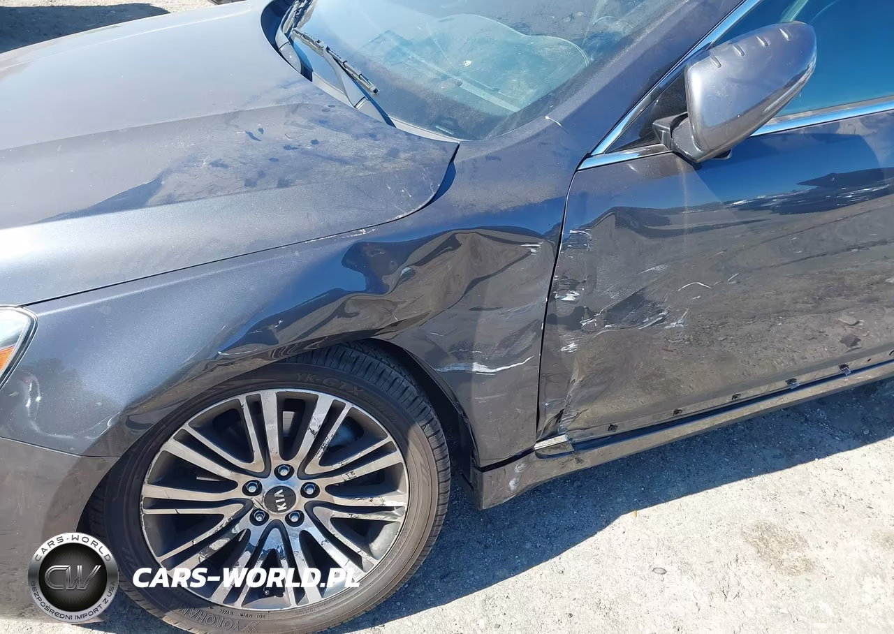 2015 Kia Cadenza Premium VIN:KNALN4D79F5176275 - 17