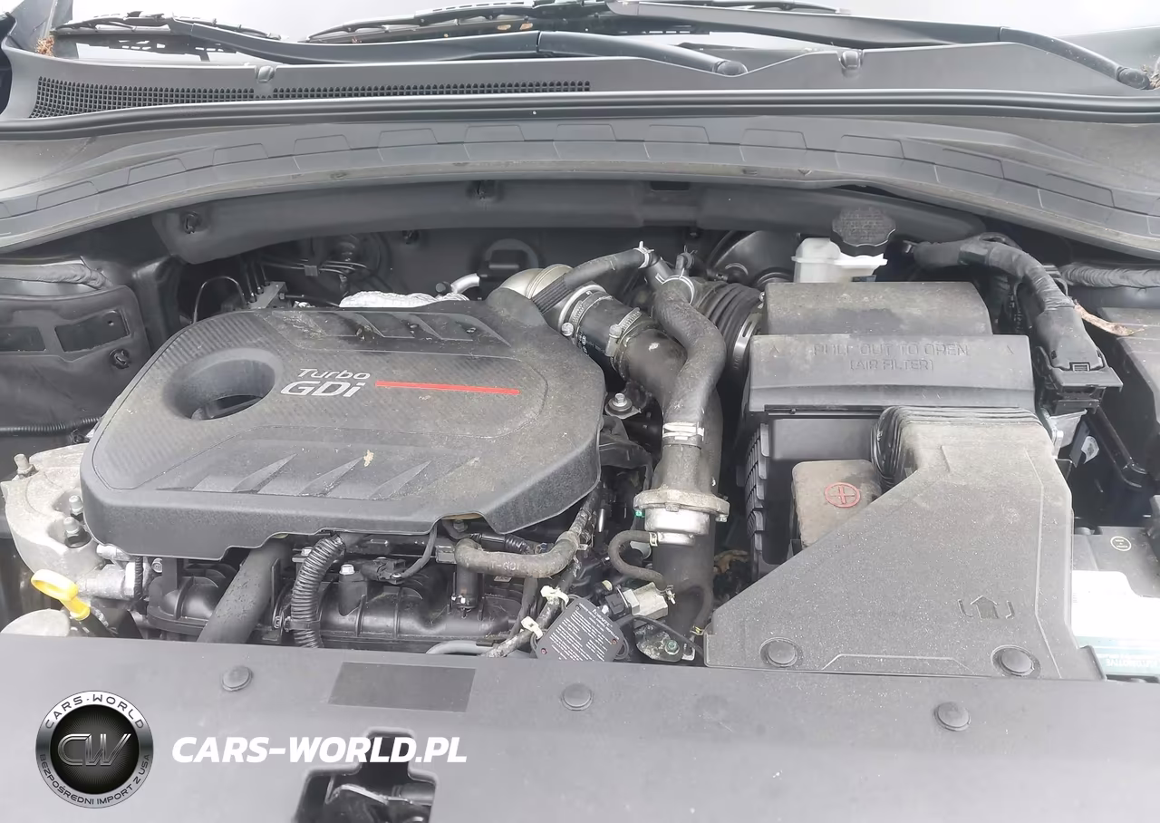 2020 Hyundai Santa Fe Sel 2.0T VIN:5NMS3CAA1LH230899 - 10