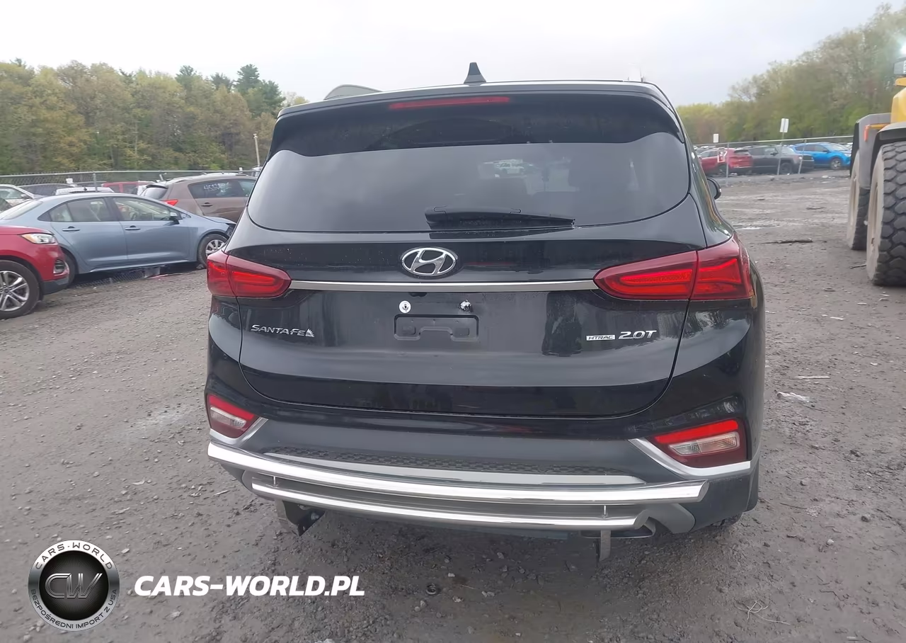 2020 Hyundai Santa Fe Sel 2.0T VIN:5NMS3CAA1LH230899 - 16