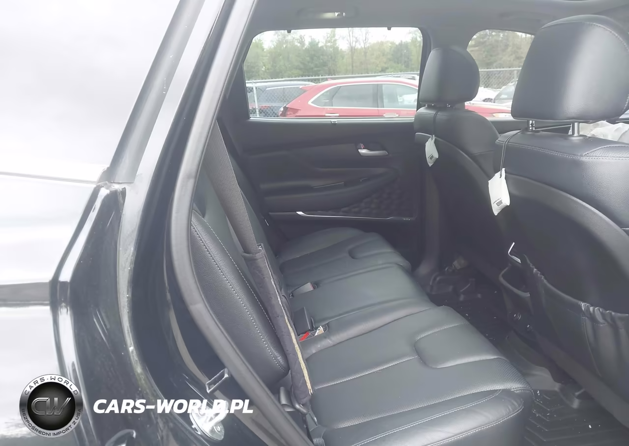 2020 Hyundai Santa Fe Sel 2.0T VIN:5NMS3CAA1LH230899 - 8