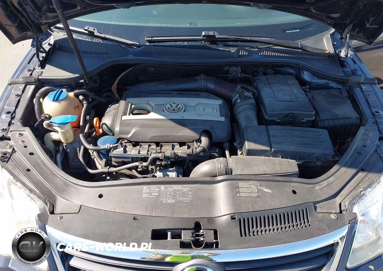 2009 Volkswagen Eos Komfort VIN:WVWBA71F39V019997 - 10