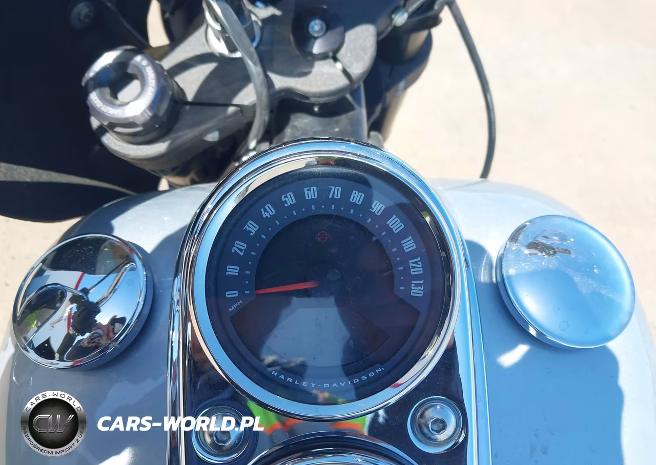 2020 Harley-Davidson Fxlrs VIN:1HD1YWK20LB074802 - 7