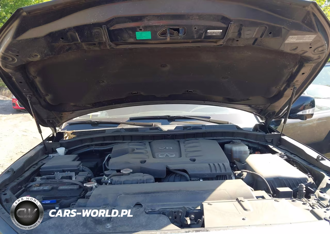 2019 Infiniti Qx80 Luxe VIN:JN8AZ2NC6K9460422 - 10