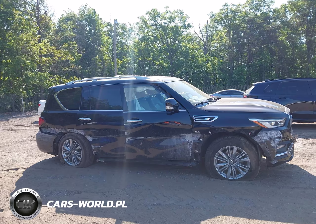 2019 Infiniti Qx80 Luxe VIN:JN8AZ2NC6K9460422 - 13