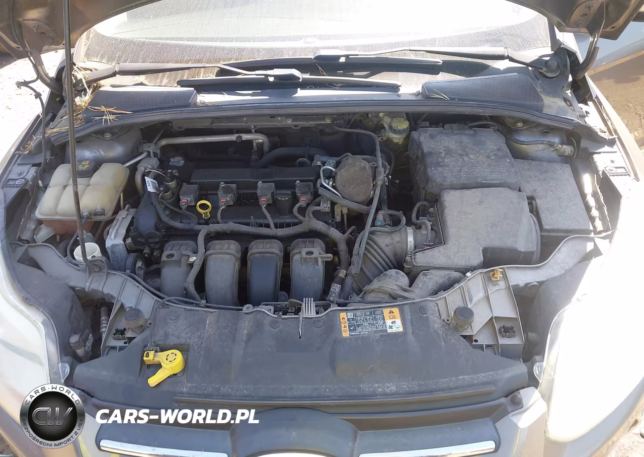 2014 Ford Focus Se VIN:1FADP3F22EL417137 - 10
