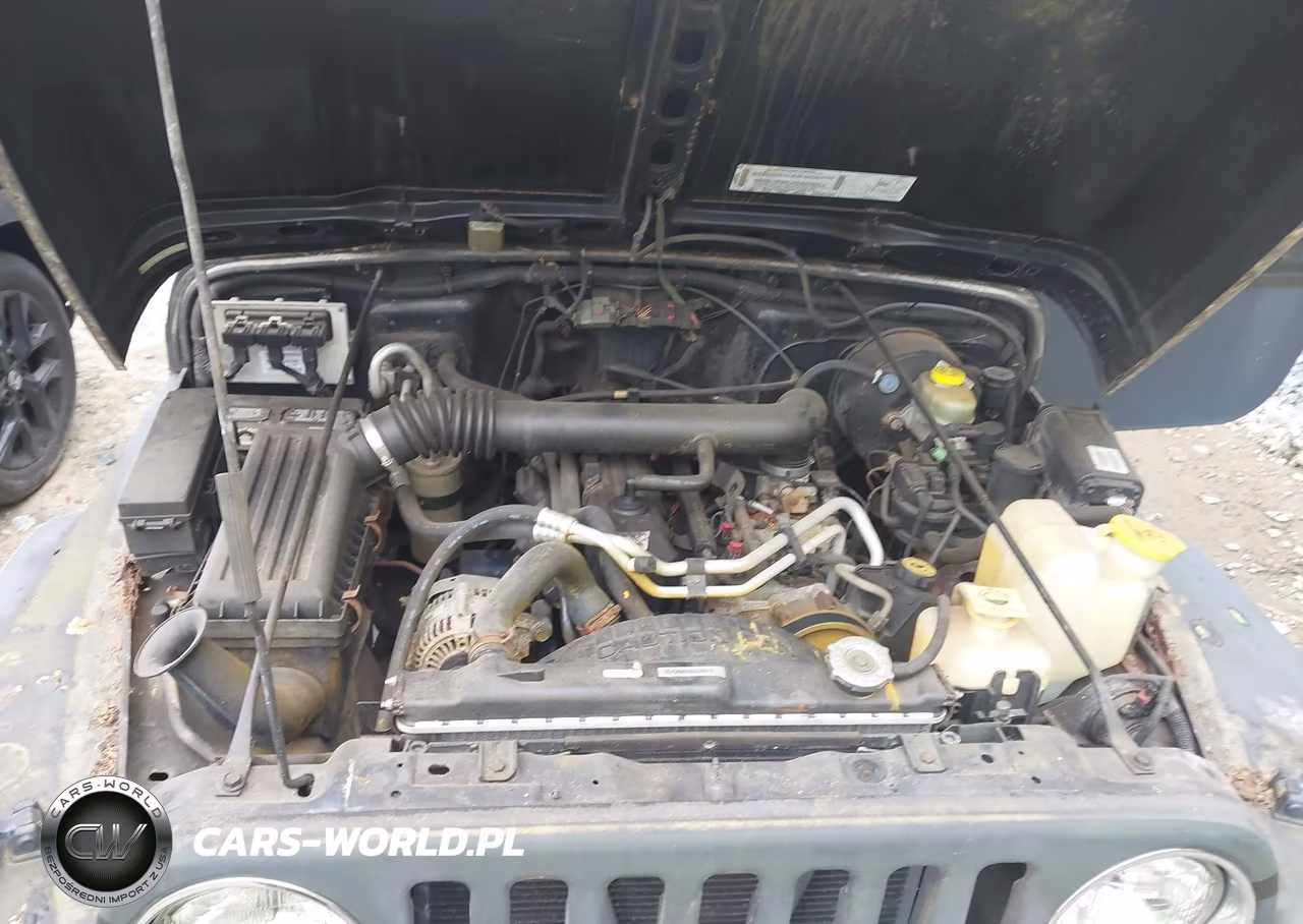 2002 Jeep Wrangler Sport VIN:1J4FA49SX2P766891 - 10