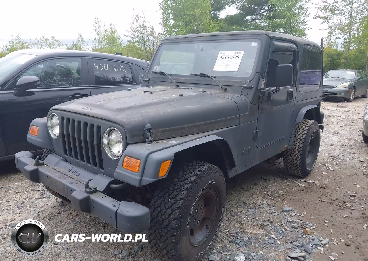 2002 Jeep Wrangler Sport VIN:1J4FA49SX2P766891 - 12