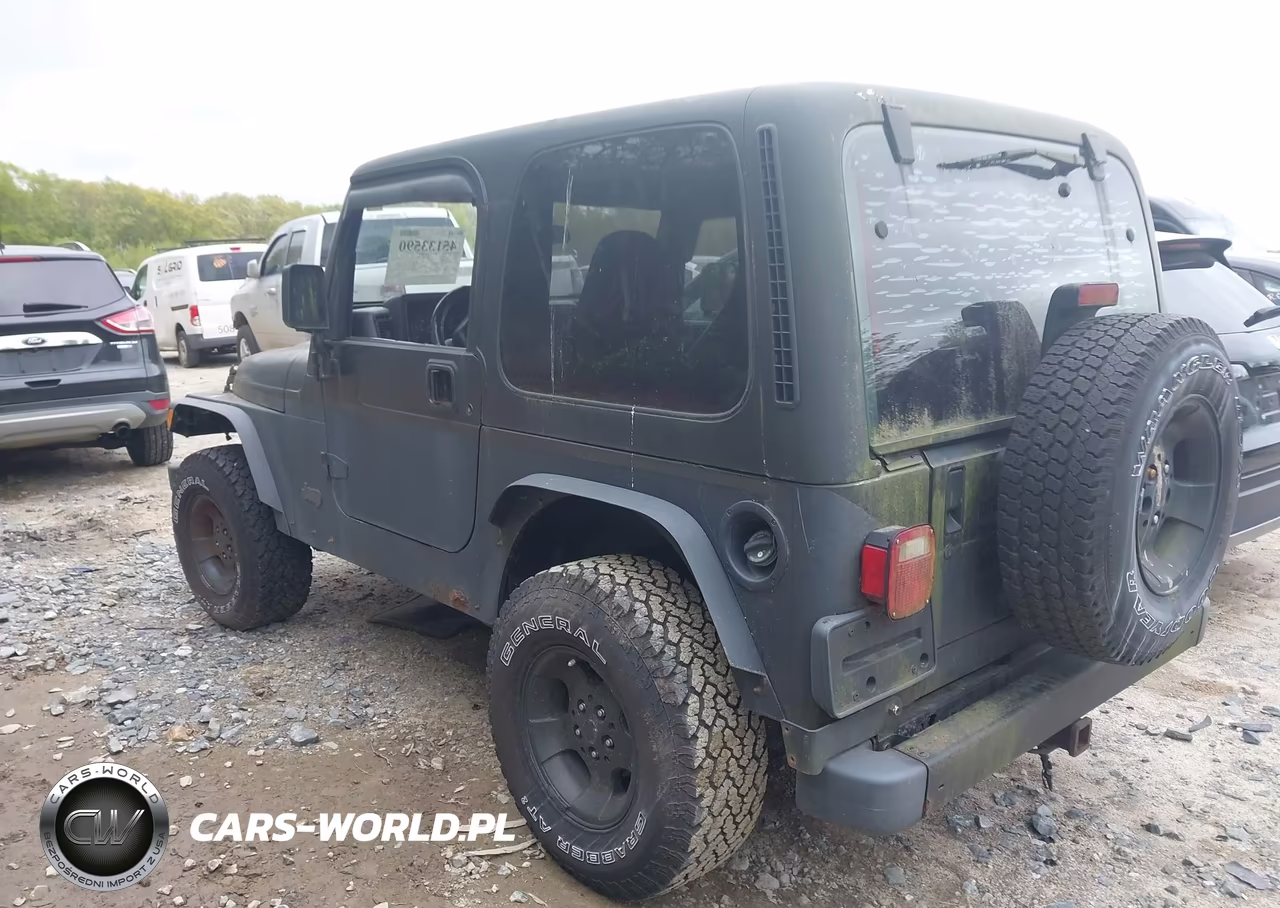 2002 Jeep Wrangler Sport VIN:1J4FA49SX2P766891 - 13